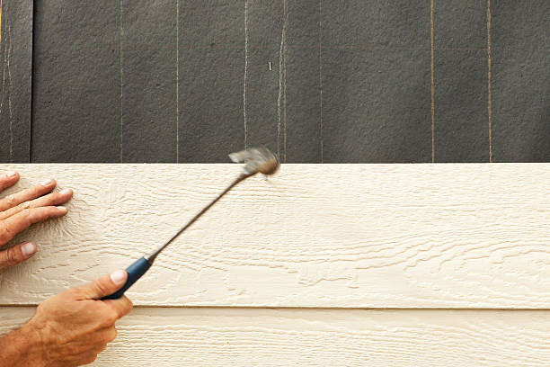 Best Stone Veneer Siding  in Nicoma Park, OK